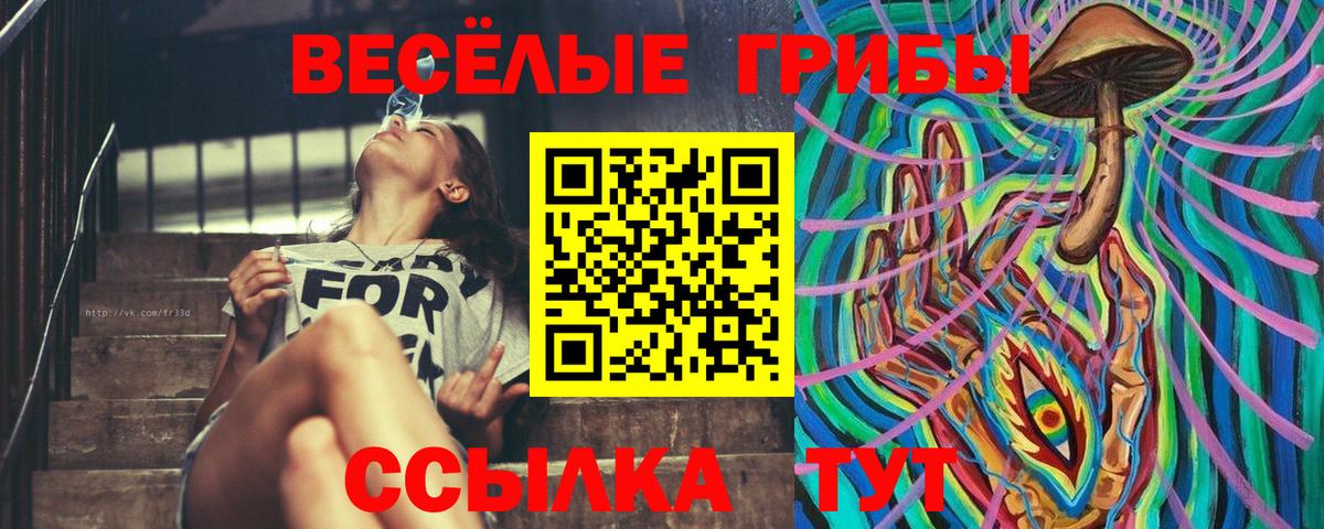 Псилоцибиновые грибы Cubensis  Псилоцибиновые грибы мухоморы  Павловский Посад  Вход с VPN 